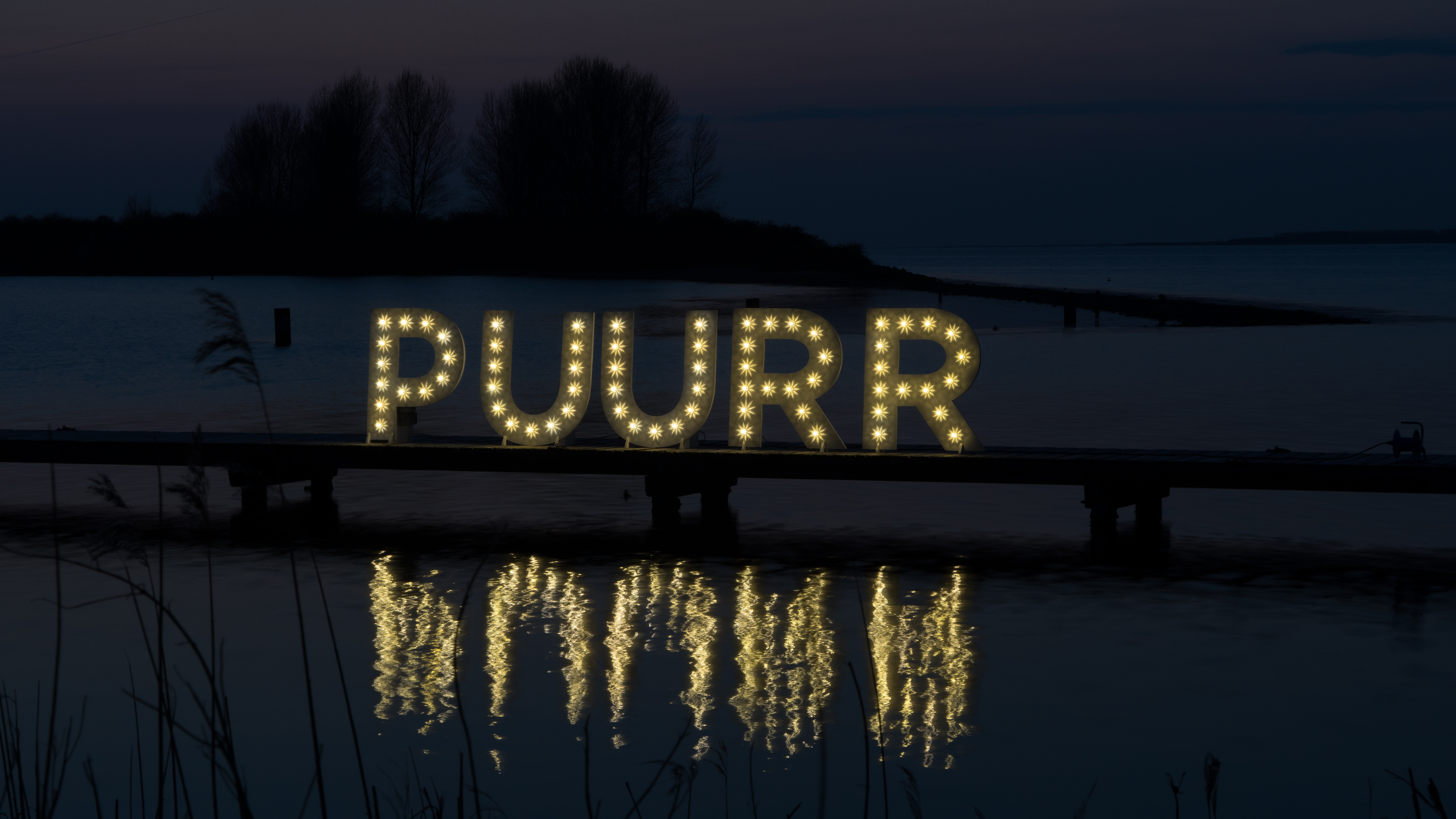 Puurr